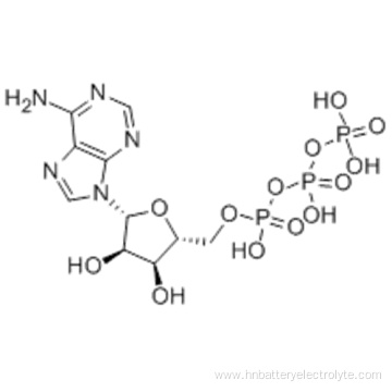 Adenosine triphosphate CAS 56-65-5